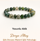 Yosunlu Akiği
