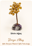 Sitrin Ağaç 