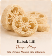 Kabak Lifi